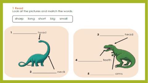 Grade 4 Access-lesson 2 : My pet dinosaur