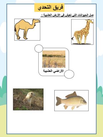 الاراضي العشبية