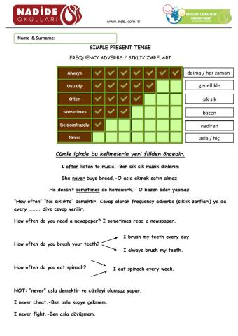 Adverbs of Frequency