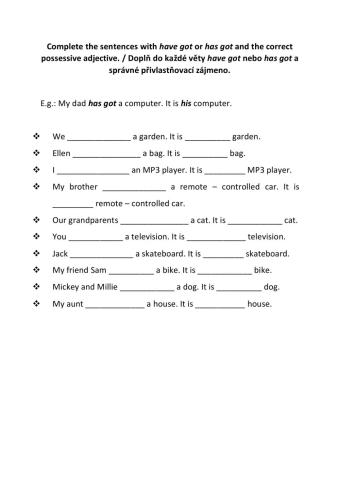 Have got-has got and possessive adjectives