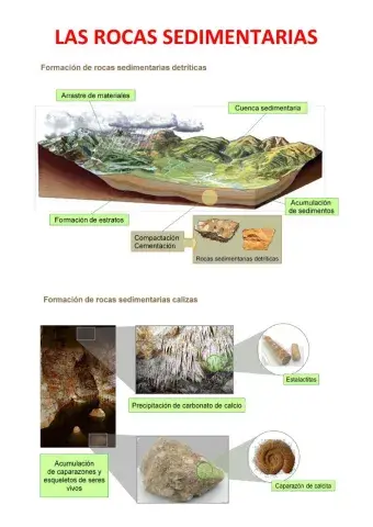 Las rocas sedimentarias