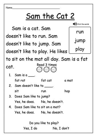 Sam the cat 2