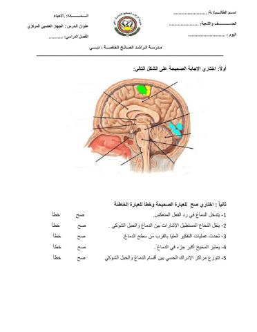 الجهاز العصبي المركزي
