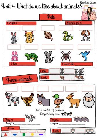 What do we like about animals?