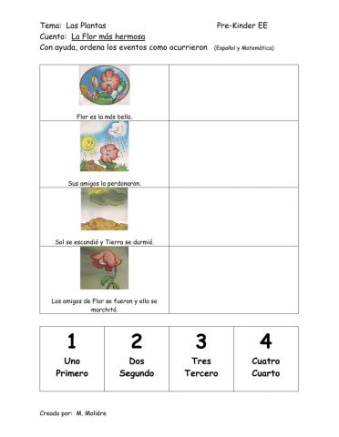 La Flor más hermosa