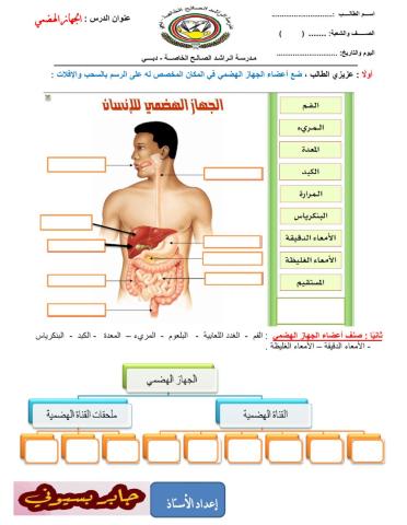 الجهاز الهضمي