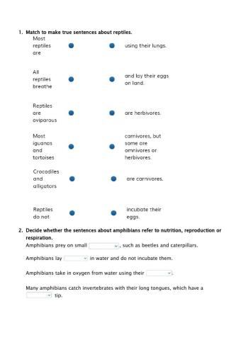 Reptiles and Amphibians