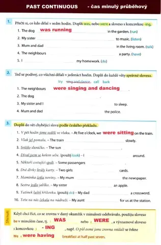 Past continuous - affirmative