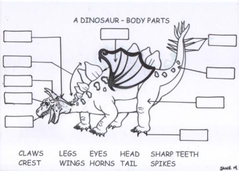 Dinosaur body parts