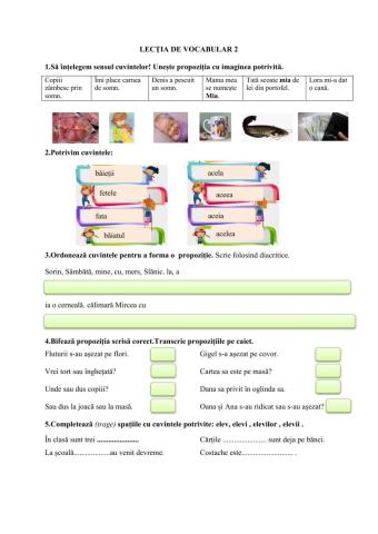 Lecția de vocabular 2