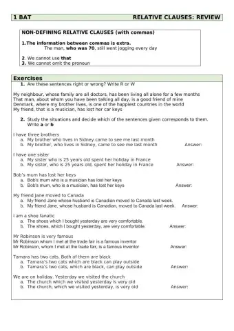 1 BAT Relative Clauses III