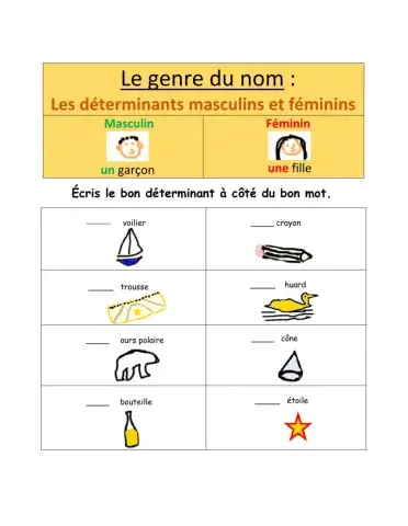 Le genre du nom- Les déterminants masculins et féminins