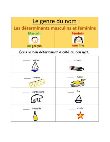 Le genre du nom- Les déterminants masculins et féminins