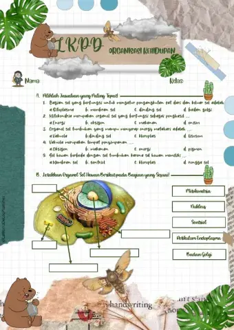 Organisasi Kehidupan