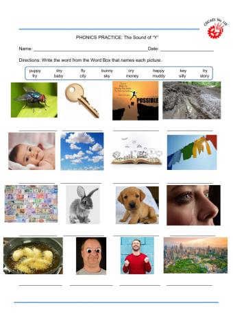 The Phonic Sound of -Y-