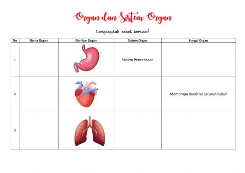 LKPD Organ dan Sistem Organ
