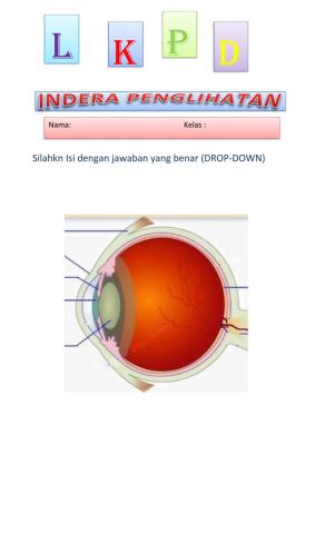 LKPD Idera Penglihatan