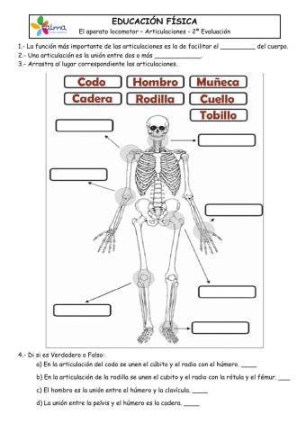 Control Articulaciones 5PRI