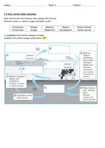 Bab 2 kitar nutrien versi english