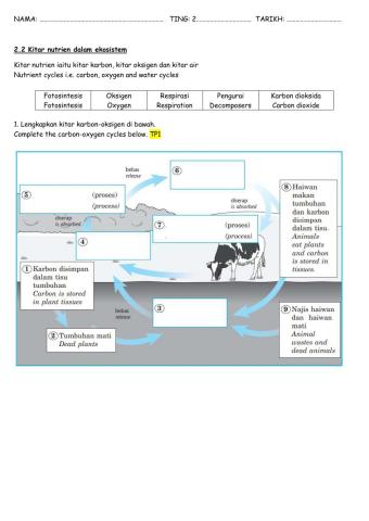 Bab 2 kitar nutrien versi english