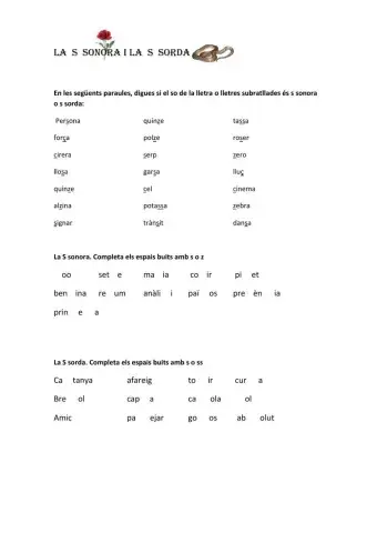 La S sonora i la S sorda