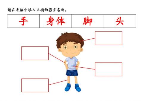 华文基础练习-基本生字：身体器官