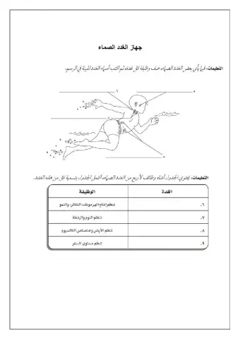الغدد الصماء أ