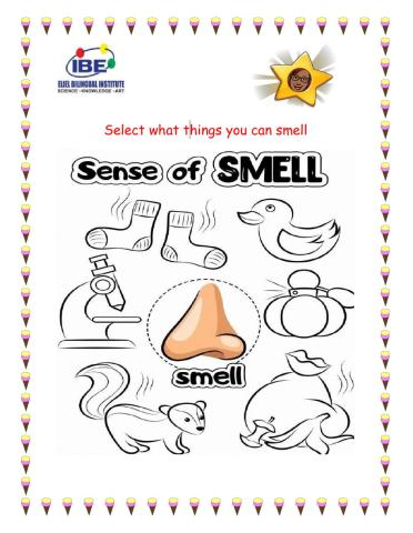 Select what you can smell