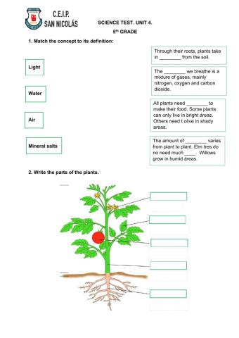 Plant growth and nutrition