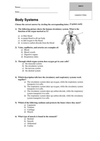 Quiz body systems
