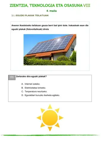 Zientziarako konpetentzia VIII