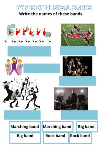 Types of musical bands