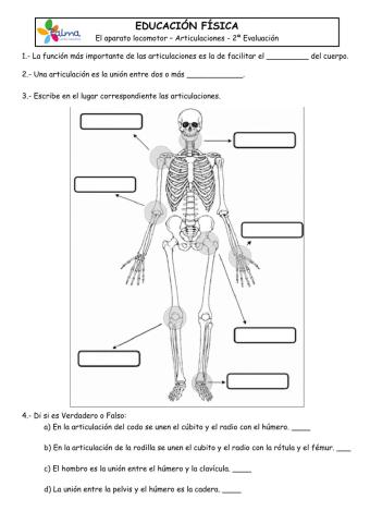 Control Articulaciones 6PRI
