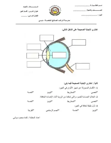 أقسام العين