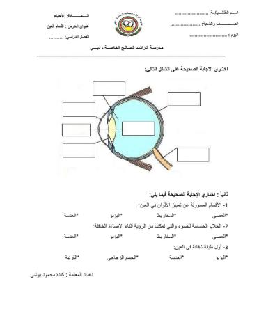 أقسام العين