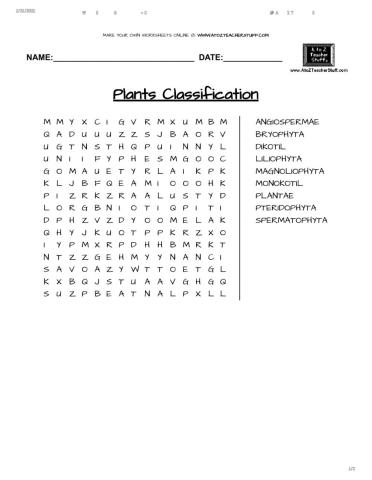 Plant's Classification