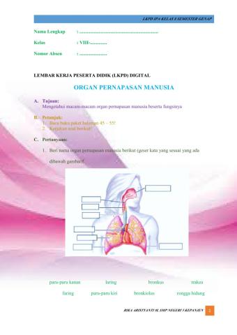 LKPD Digital IPA