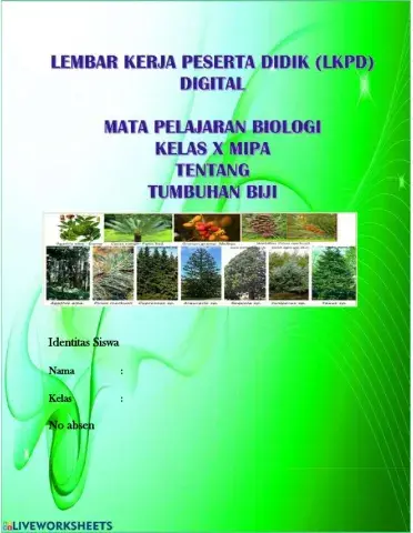 Lkpd plantae