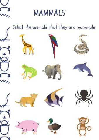 Mammals