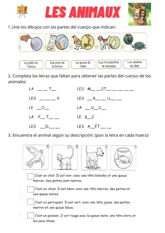 Les parties du corps des animaux