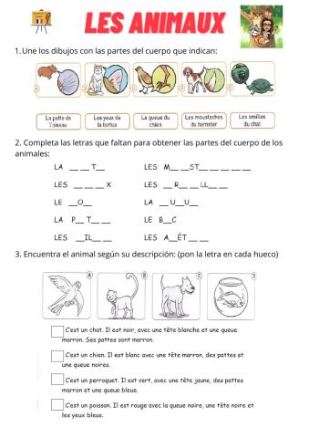 Les parties du corps des animaux