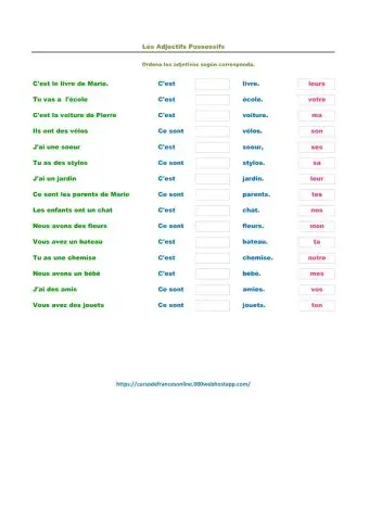 Adjectifs Possessifs