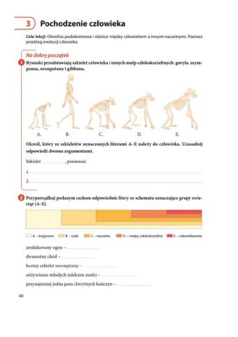 Pochodzenie człowieka
