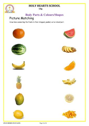 Lkg EVS Fruits & Vegetables