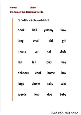 Describing Words class ii