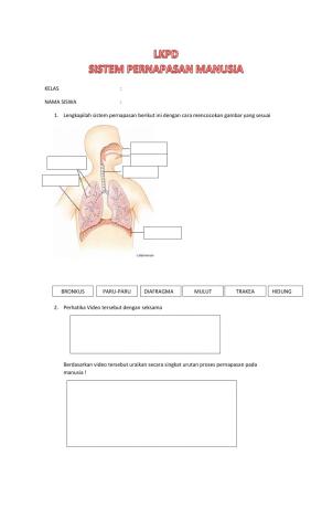 Lkpd sistem respirasi