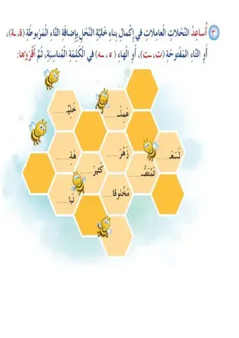 التاء المفتوحة والمربوطة والهاء
