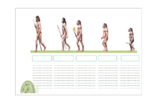 Evolucion del Hombre