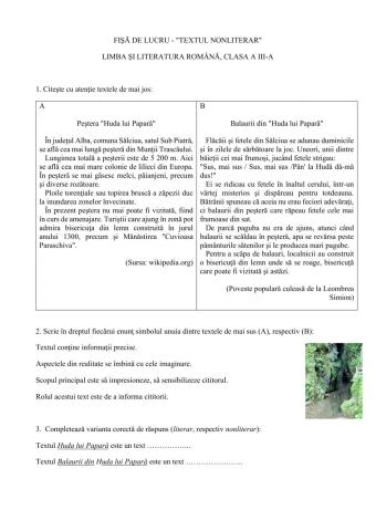 Textul nonliterar - Fișă de lucru