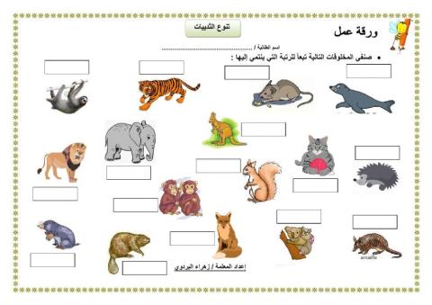 تنوع الثدييات